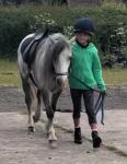 Rosie, 11hh Welsh Section A Mare
