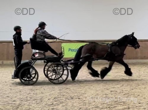 Bennington Spirit Carriage