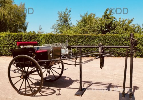 Dog Cart by Cox of Sunning