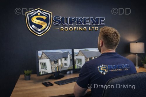 Logos for Vans, Leaflets & Flyers