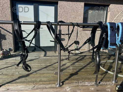 Zilco Harness 