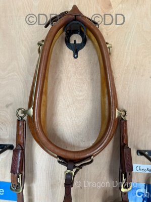 Harness