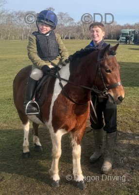 Piggy, 11.2hh Riding Mare