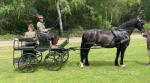 Hartland Versatile Exercise Vehicle