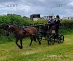 Bennington Carriage