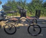 Pleasure Vehicle 