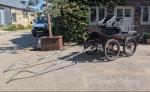 Carriage