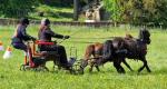 Rene Scoop Carriage