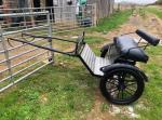 Exercise Cart by Anderson Carriages