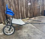 Exercise Cart