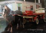 Show Lorry Cart