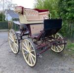 Hooded Spyder Phaeton