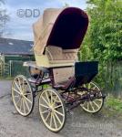 Hooded Spyder Phaeton