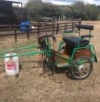 Exercise Cart with Harness