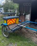 Exercise Cart