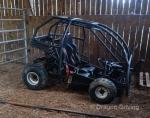 Dune Buggy