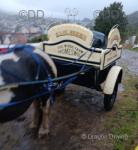 Milk Cart