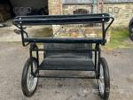Exercise Cart with Harness