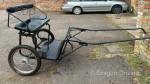Exercise Cart with Harness