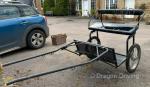 Exercise Cart with Harness