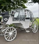Cinderella Carriage