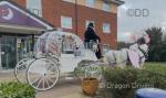 Cinderella Carriage