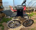 Fenix Exercise Cart