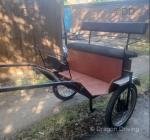 Exercise Cart