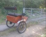 Exercise Cart