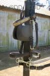 Dog Cart by Cox of Sunning