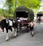 Cumbria Carriage