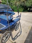 Exercise Vehicle & Harness 