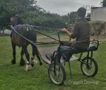 Cart & Harness