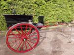 Rally Carriage