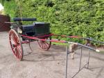 Rally Carriage