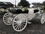 Carriage