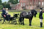 George IV Phaeton