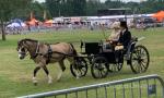 George IV Phaeton