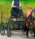 Hartland Shetland Sport 