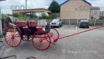 American Surrey Carriage