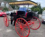 American Surrey Carriage