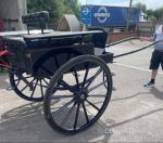 Fenix Carriage