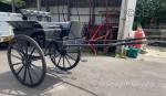 Fenix Carriage
