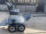 Fun Bug Cart