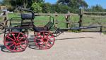 Exercise Vehicle 