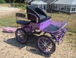Seasans Kestrel Carriage