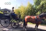 Phaeton