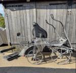 Rene Carriage