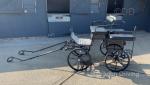 Hartland Pleasure Sport Carriage