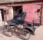 Rene Scoop Carriage